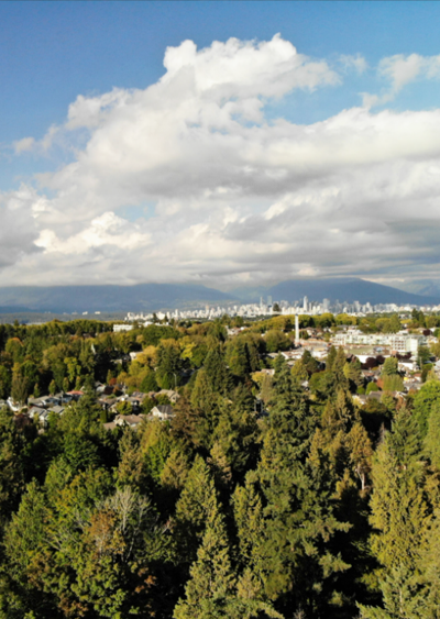 Vancouver trees